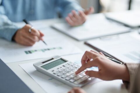 Revenue Recovery, Risk Management Analysis and Consulting Services